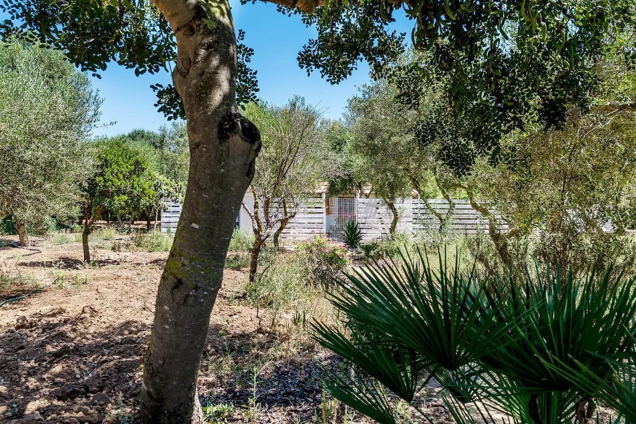 Casita-Estudio El Castano El Palmar  Spain